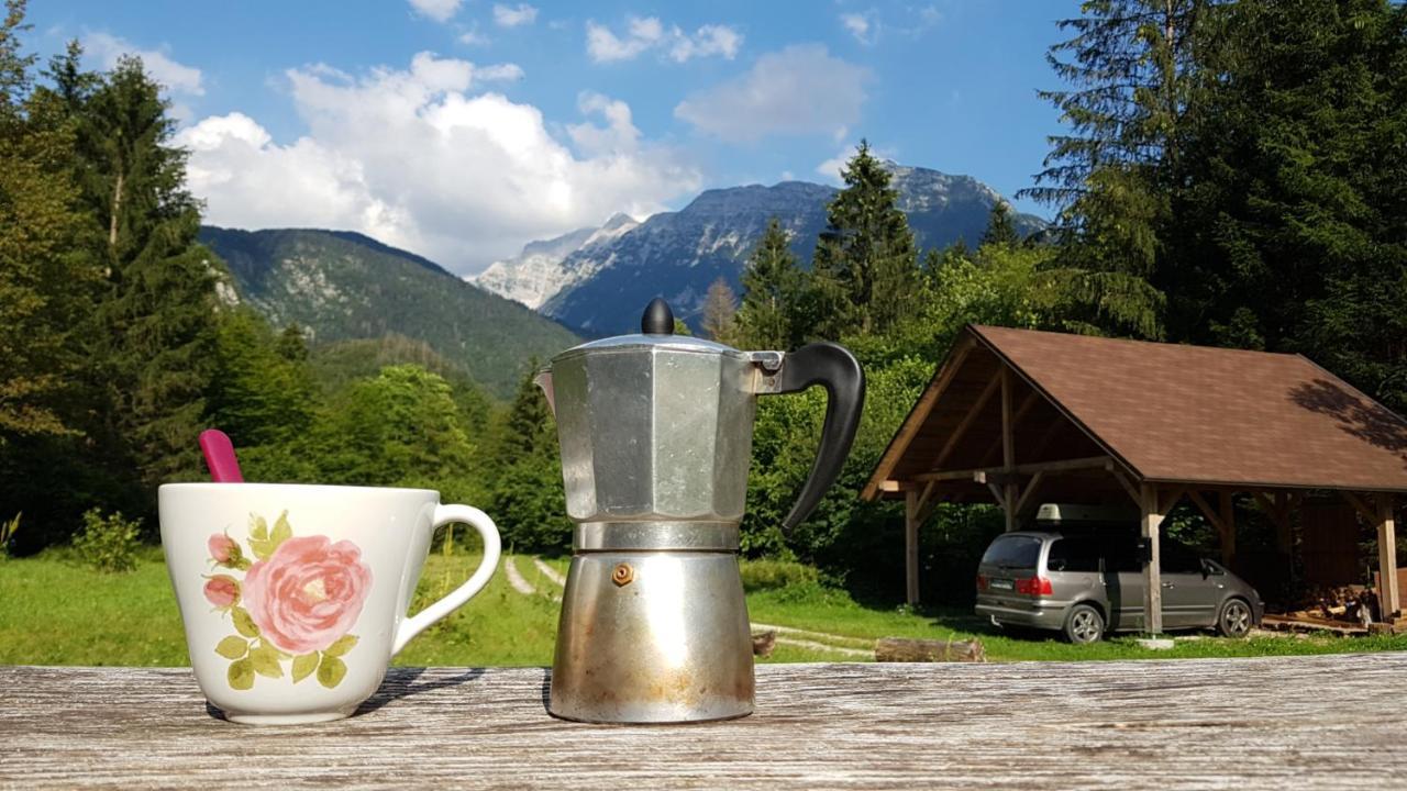 Bovec Home At Three Samoyeds Соча Экстерьер фото