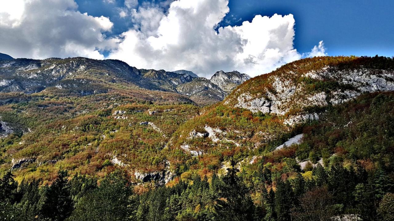 Bovec Home At Three Samoyeds Соча Экстерьер фото