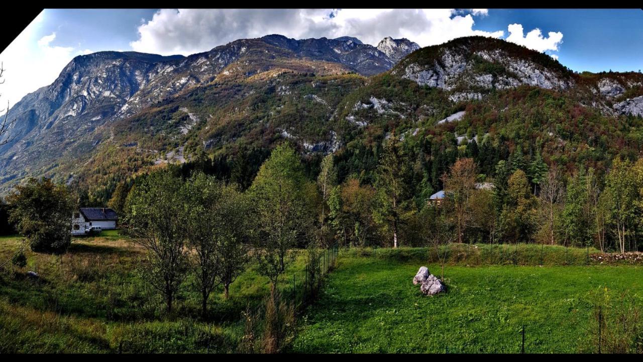 Bovec Home At Three Samoyeds Соча Экстерьер фото