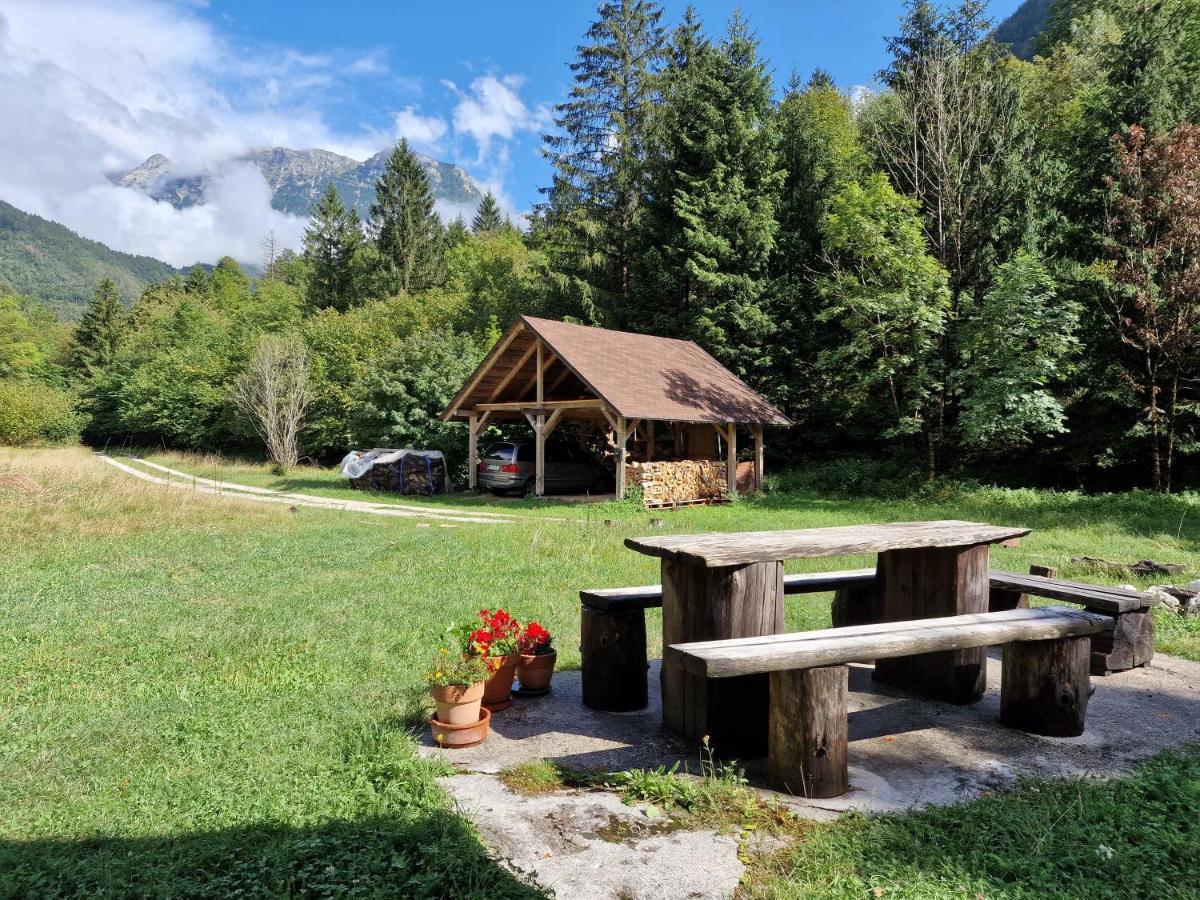 Bovec Home At Three Samoyeds Соча Экстерьер фото