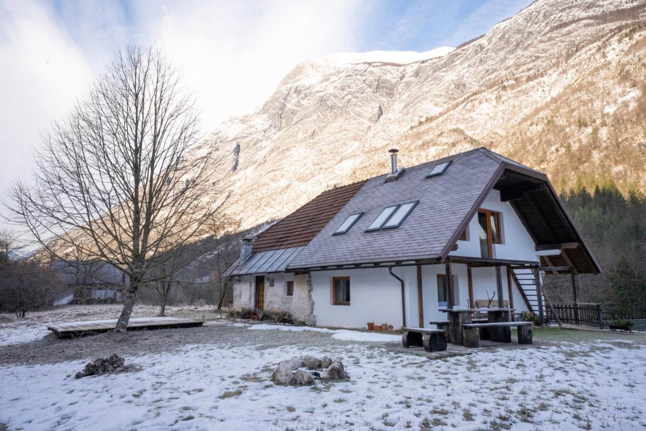 Bovec Home At Three Samoyeds Соча Экстерьер фото