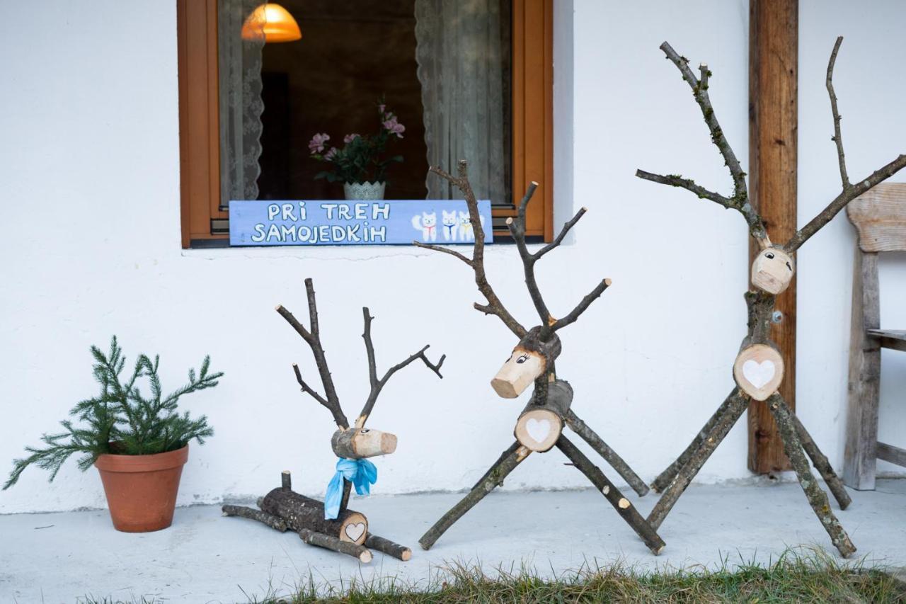 Bovec Home At Three Samoyeds Соча Экстерьер фото