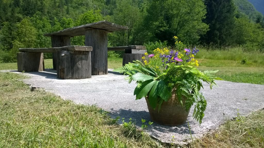 Bovec Home At Three Samoyeds Соча Экстерьер фото