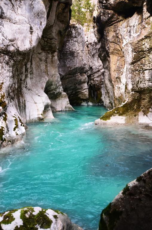 Bovec Home At Three Samoyeds Соча Экстерьер фото