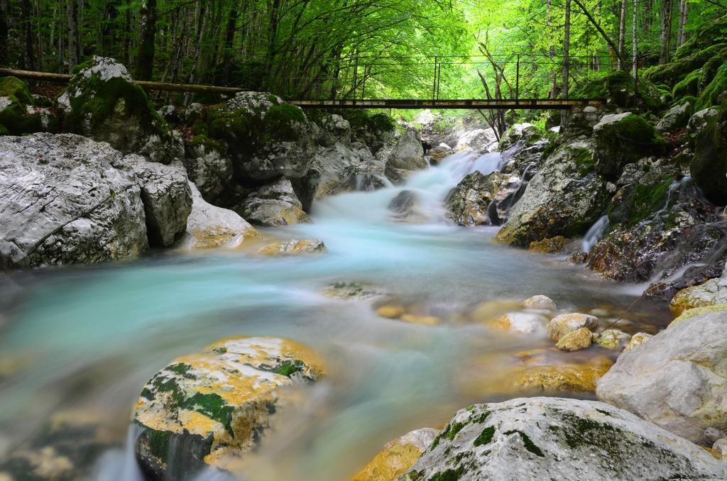 Bovec Home At Three Samoyeds Соча Экстерьер фото