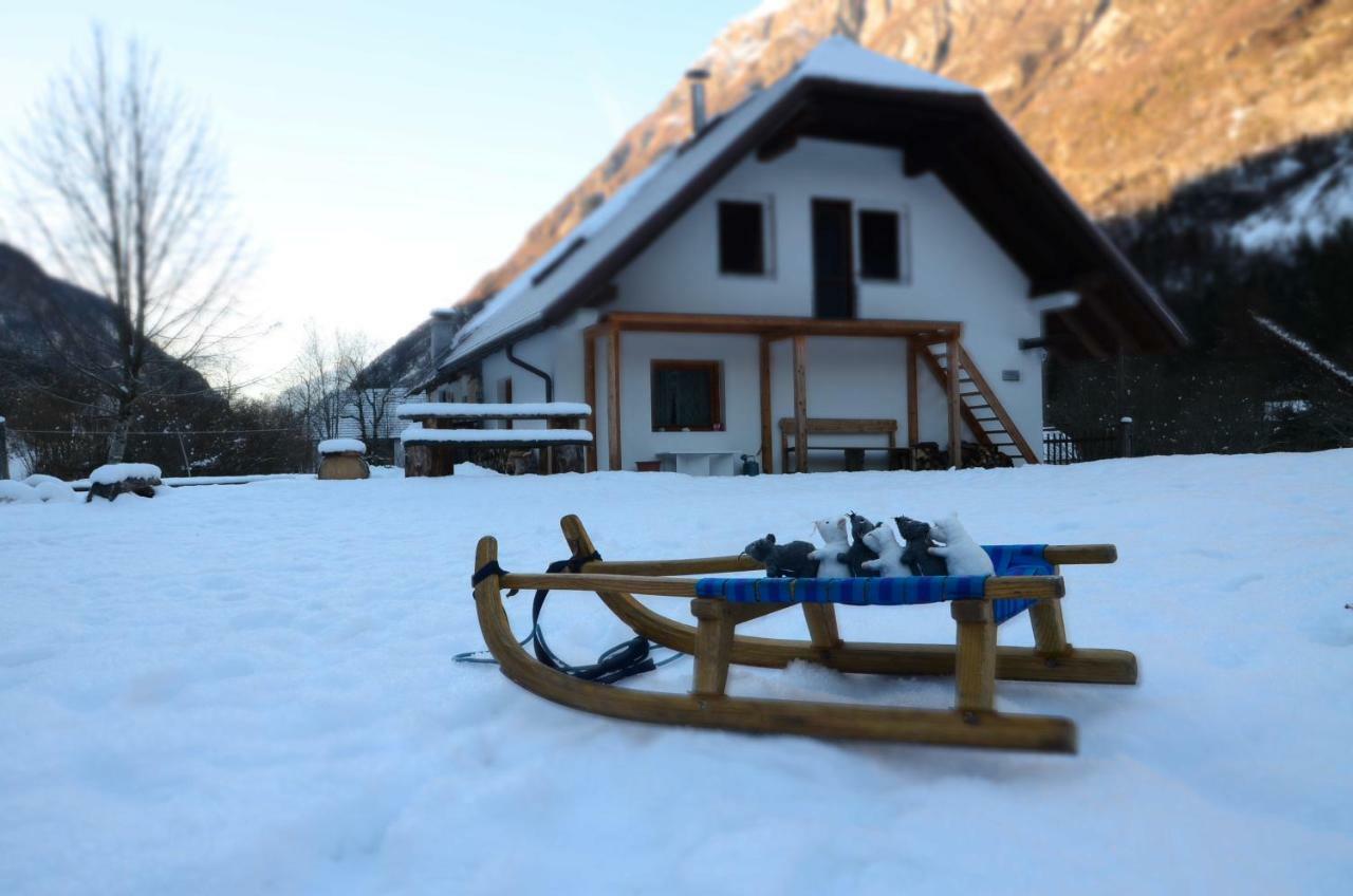 Bovec Home At Three Samoyeds Соча Экстерьер фото